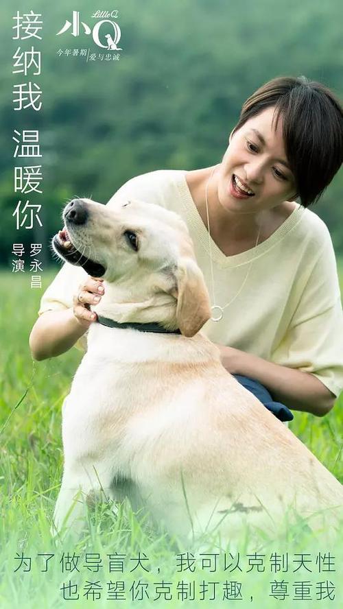 费尔菲尔德大学 Sociological degree